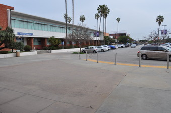 Enlarge photo 67