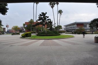 Enlarge photo 121