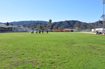 Enlarge photo 45