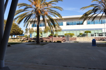 Enlarge photo 65