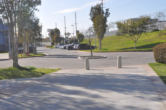 Enlarge photo 83
