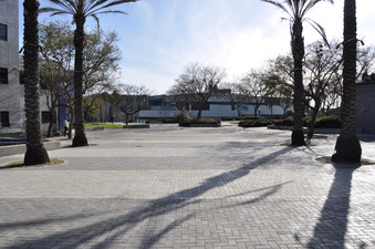 Enlarge photo 87
