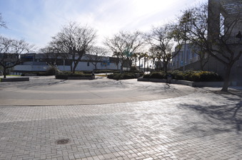 Enlarge photo 93