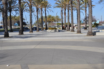 Enlarge photo 95