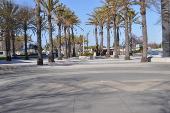 Enlarge photo 97