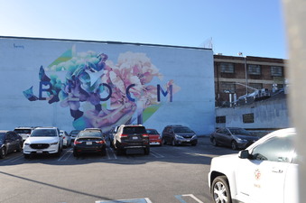 Enlarge photo 5
