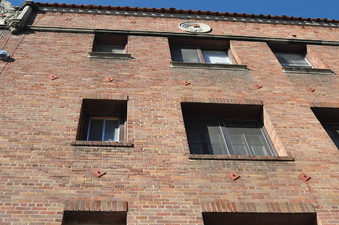 Enlarge photo 16