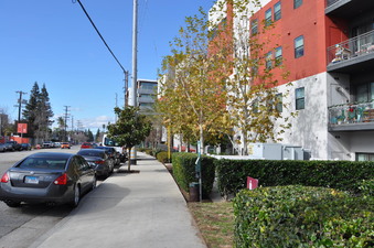 Enlarge photo 6