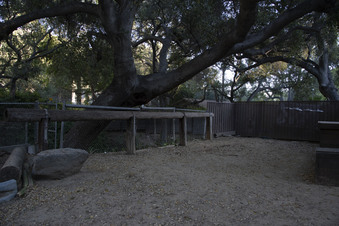 Enlarge photo 37