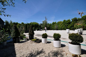 Enlarge photo 5