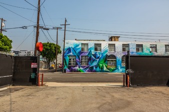 Enlarge photo 13