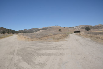 Enlarge photo 45