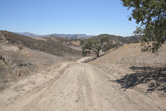 Enlarge photo 34
