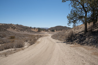 Enlarge photo 36