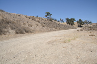 Enlarge photo 37