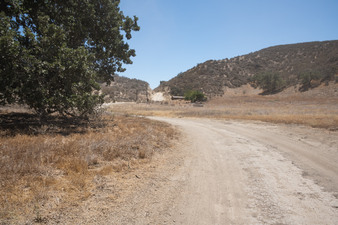 Enlarge photo 41