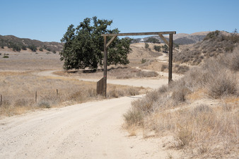 Enlarge photo 44