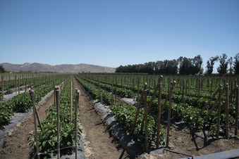 Enlarge photo 12