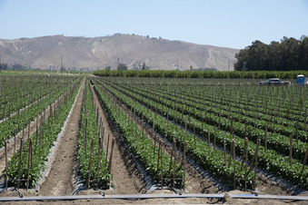 Enlarge photo 15