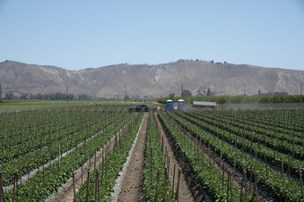 Enlarge photo 17