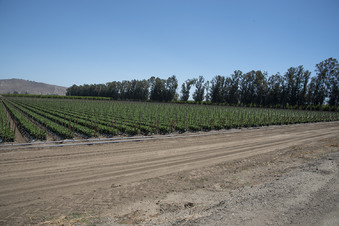 Enlarge photo 19