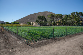 Enlarge photo 6