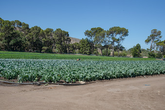 Enlarge photo 7