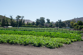 Enlarge photo 17