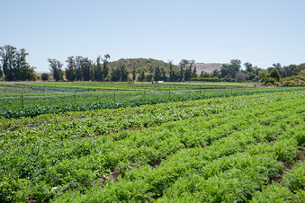 Enlarge photo 21