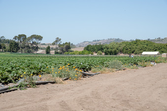 Enlarge photo 29