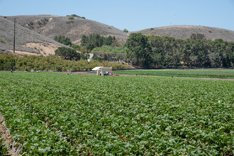 Enlarge photo 34
