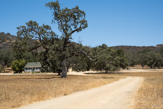 VENTURA FARMS