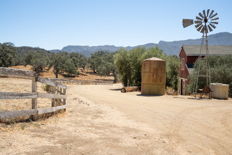 Enlarge photo 20