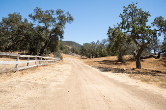 Enlarge photo 23