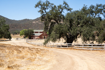 Enlarge photo 25