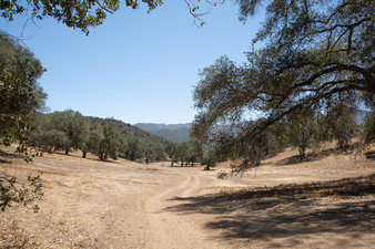 Enlarge photo 26