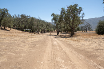 Enlarge photo 29