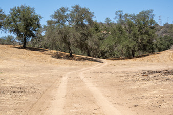 Enlarge photo 31
