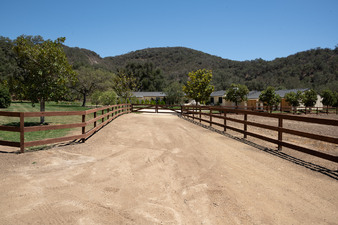 Enlarge photo 35