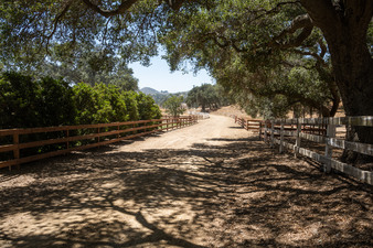 Enlarge photo 36