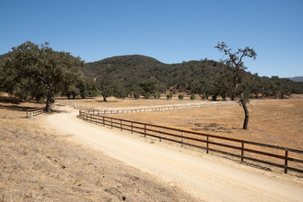 Enlarge photo 38