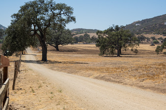 Enlarge photo 41