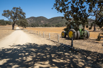 Enlarge photo 42