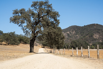 Enlarge photo 43