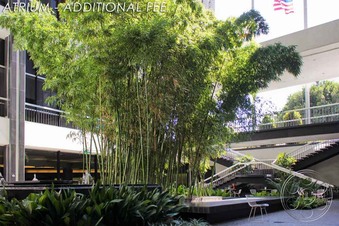 Enlarge photo 73