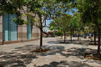 Enlarge photo 46