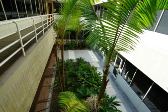Enlarge photo 181
