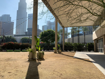 Enlarge photo 63
