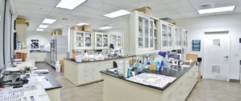 Enlarge photo 43
