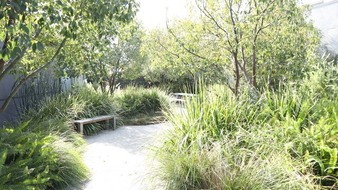 Enlarge photo 10